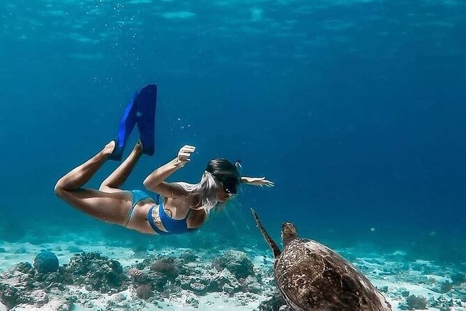 Gili Island Snorkeling Trip - Gili Trawangan, Gili Meno, & Gili Air, From Lombok - Coral Spot and the limits of reef quality