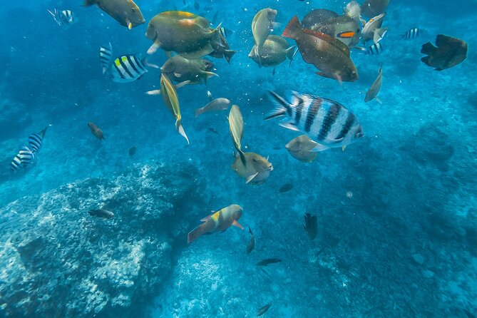 Gili Nanggu,Gili Kedis & Gili Sudak Hopping island & Snorkeling Tour - Gili Kedis, a tiny island for photos