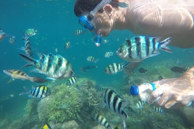 Gili Nanggu,Gili Kedis & Gili Sudak Hopping island & Snorkeling Tour - Timing, weather, and practical limits