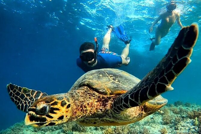 Gili Trawangan & Gili Air Snorkeling Tour Turtles & Statue - Key points to know before you book