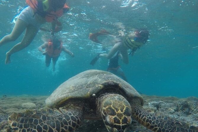 Gili Trawangan & Gili Air Snorkeling Tour Turtles & Statue - Gili Air and the Fish Garden stop