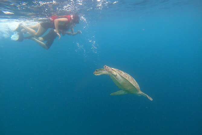 Gili Trawangan & Gili Air Snorkeling Tour Turtles & Statue - Finding the meeting point and handling island time