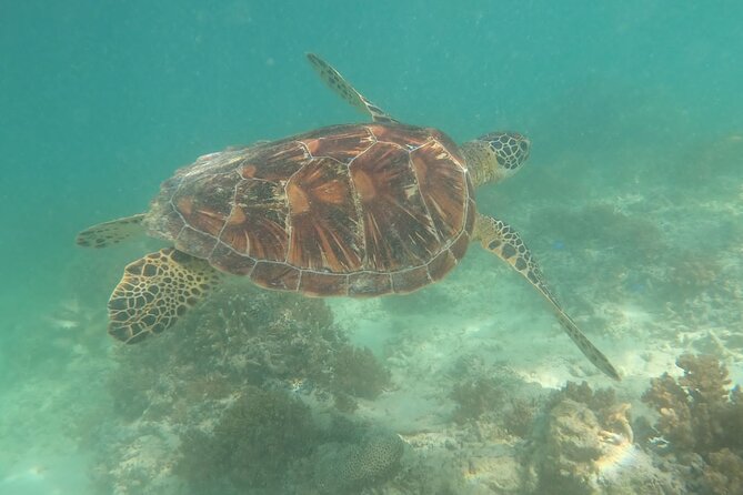 Gili Trawangan & Gili Air Snorkeling Tour Turtles & Statue - Practical packing advice for the boat