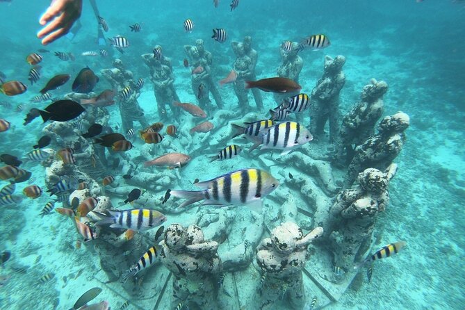 Gili Trawangan,Gili Meno& Gili Air Island:Snorkeling Day Trip Depart from Lombok - Key points at a glance