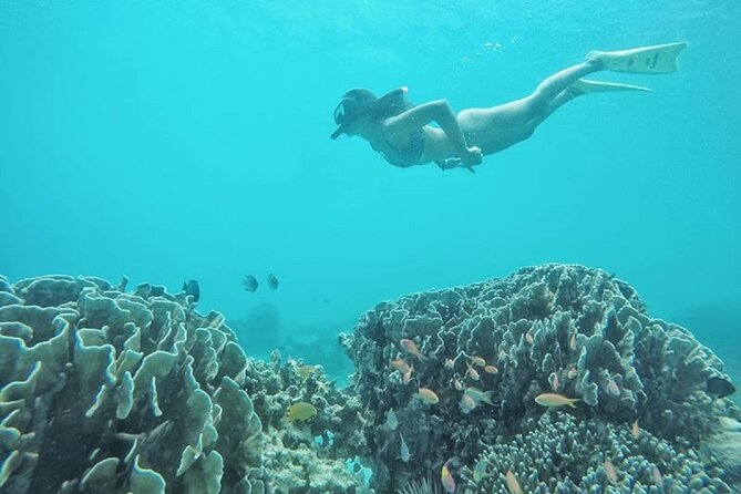 Gili Trawangan,Gili Meno& Gili Air Island:Snorkeling Day Trip Depart from Lombok - Leaving Lombok at 7:30 a.m.