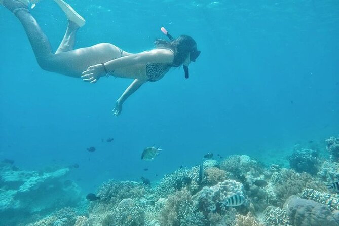 Gili Trawangan,Gili Meno& Gili Air Island:Snorkeling Day Trip Depart from Lombok - Third stop: Gili Air, lunch, and the fish garden
