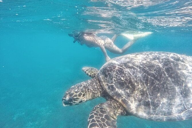 Gili Trawangan,Gili Meno& Gili Air Island:Snorkeling Day Trip Depart from Lombok - What the guide adds to the day