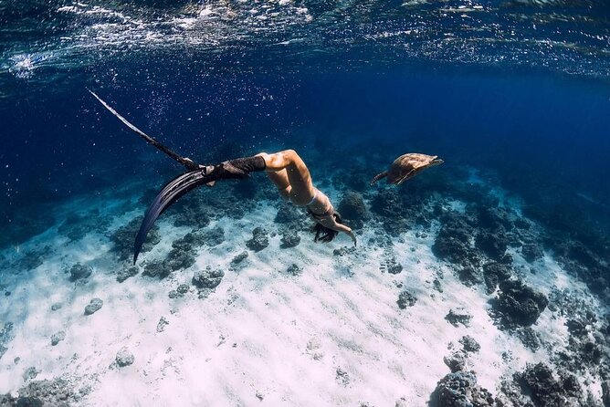 Gili Trawangan : Private Snorkeling with 3 spots or 4 spots - Key points to know before you book