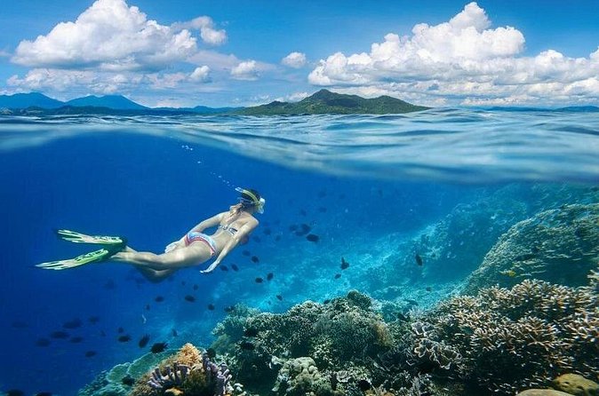 Gili Trawangan : Private Snorkeling with 3 spots or 4 spots - Finding turtles in their protected sea habitat