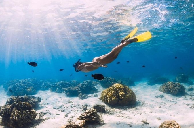 Gili Trawangan : Private Snorkeling with 3 spots or 4 spots - The fish garden and the final swim