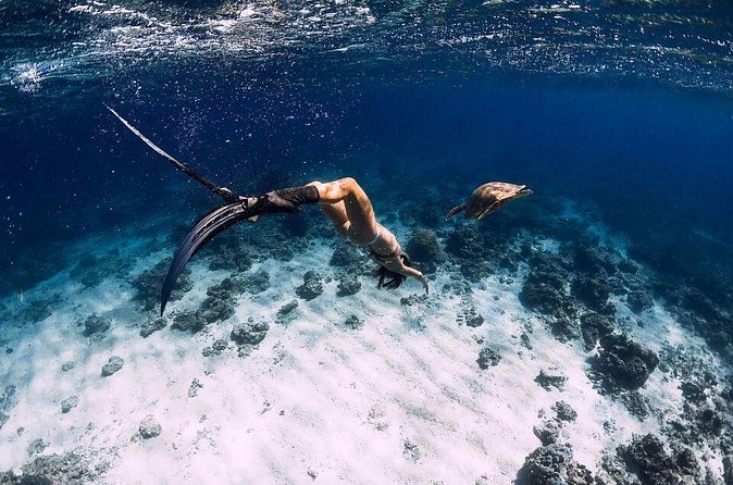 Gili Trawangan : Private Snorkeling with 3 spots or 4 spots - Is $36.47 per person good value?