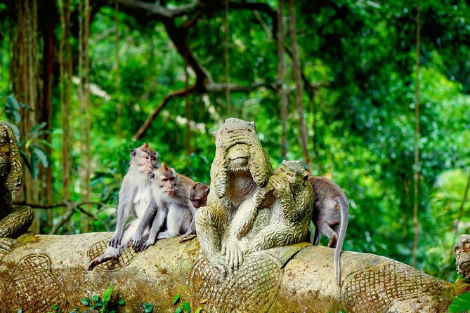 Goa Gajah / Elephant Cave Temple And Ubud Tour - All Inclusive - Why this private Ubud route works