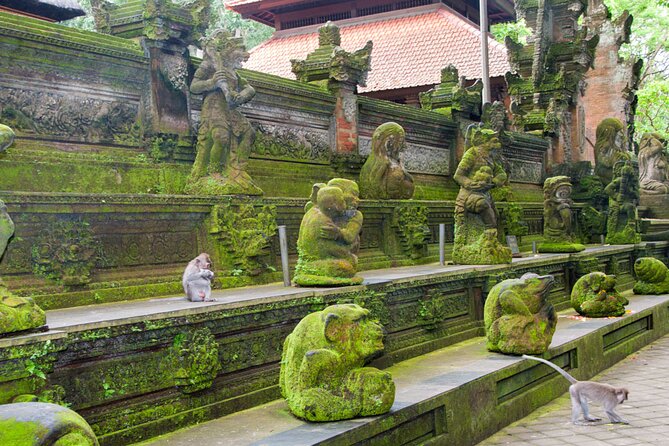 Goa Gajah / Elephant Cave Temple And Ubud Tour - All Inclusive - Tegalalang Rice Terrace and Bali’s farming country