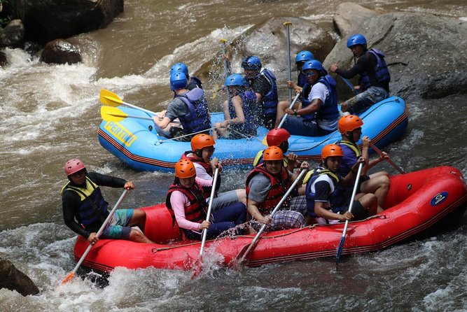 Green Bali Rafting Ticket And Transfer - Two hours on the Ayung River