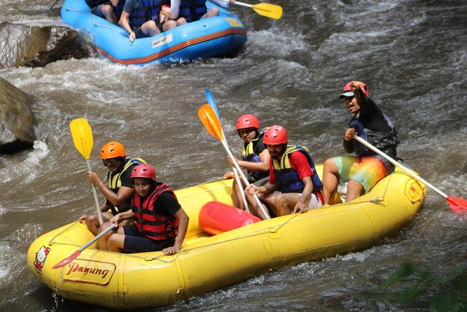Green Bali Rafting Ticket And Transfer - Is the $23.07 price good value?