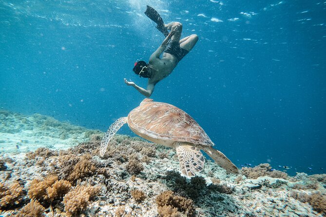 Group Snorkeling Tour Gili Islands Including GoPro Documentation - Meeting at Sama-Sama Reggae Bar