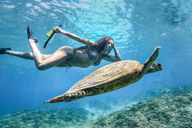 Group Snorkeling Tour Gili Islands Including GoPro Documentation - Underwater statues and the search for turtles