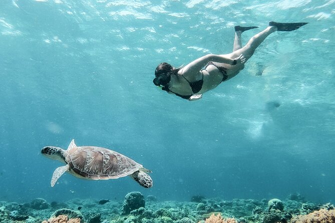 Group Snorkeling Tour Gili Islands Including GoPro Documentation - The real value of $15.28
