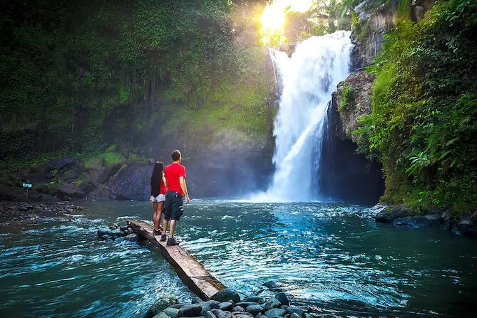 Half Day Bali Tour - Who should book this half-day tour?