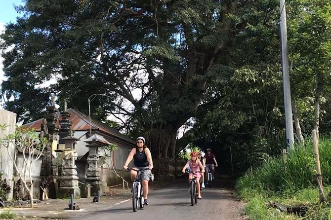 Half Day Cycling Tour ( Manual Bike ) - Tegallalang: a quick photo and coffee stop