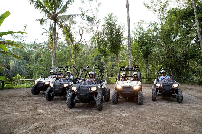 Half Day Jungle Buggies in Bali with Guide - Key points to know before booking