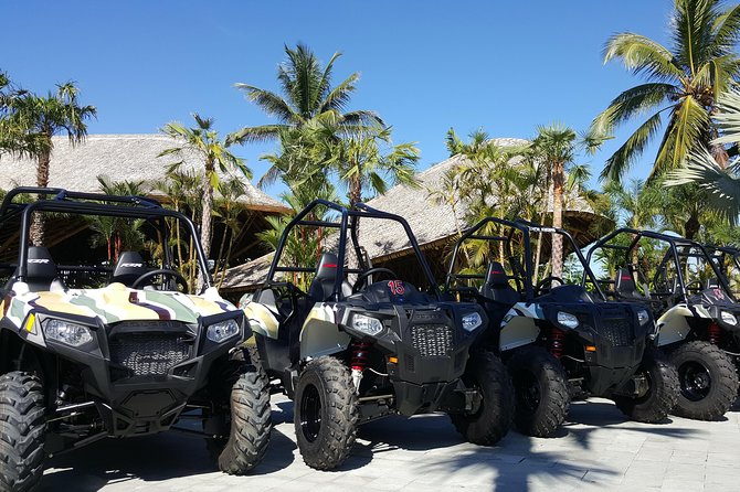 Half Day Jungle Buggies in Bali with Guide - A quieter finish at the Mason chocolate showroom