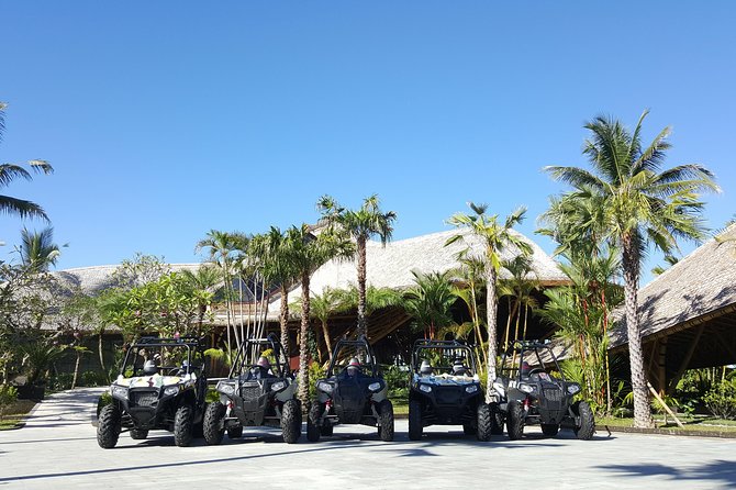 Half Day Jungle Buggies in Bali with Guide - Who will enjoy this buggy tour most?