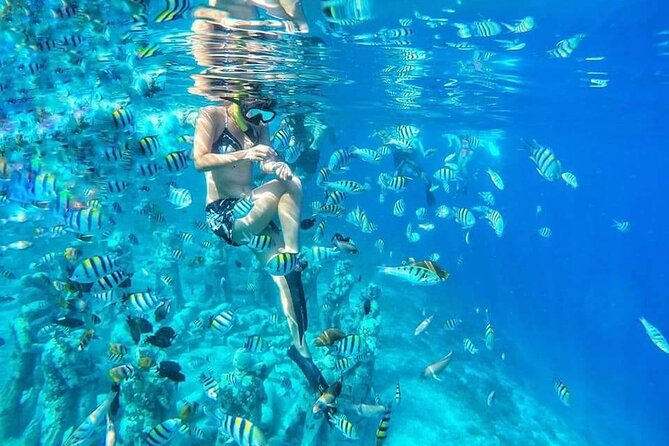 Half-Day Private Guided Snorkeling Turtles Underwater Statues - What the four-hour route actually gives you