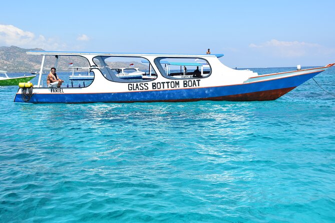 Half-Day Private Guided Snorkeling Turtles Underwater Statues - Why the private format can be worth $85