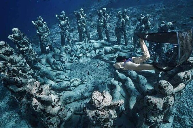 Half-Day Private Guided Snorkeling Turtles Underwater Statues - GoPro photos, timing, and lunch costs