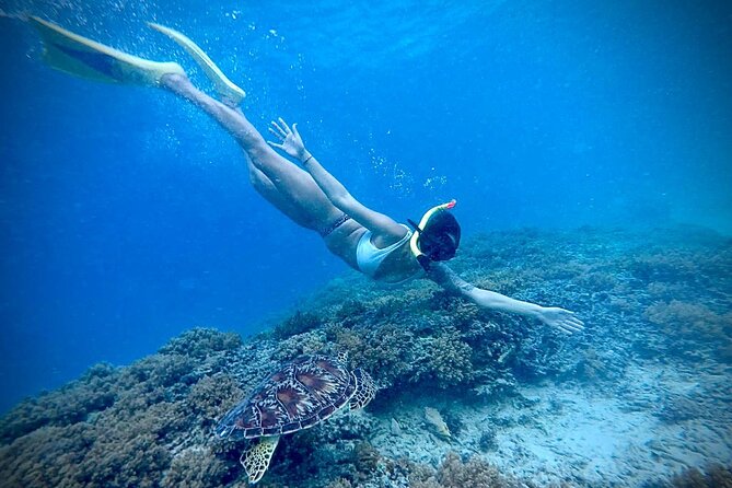 Half-Day Private Guided Snorkeling Turtles Underwater Statues - What kind of group will enjoy this most