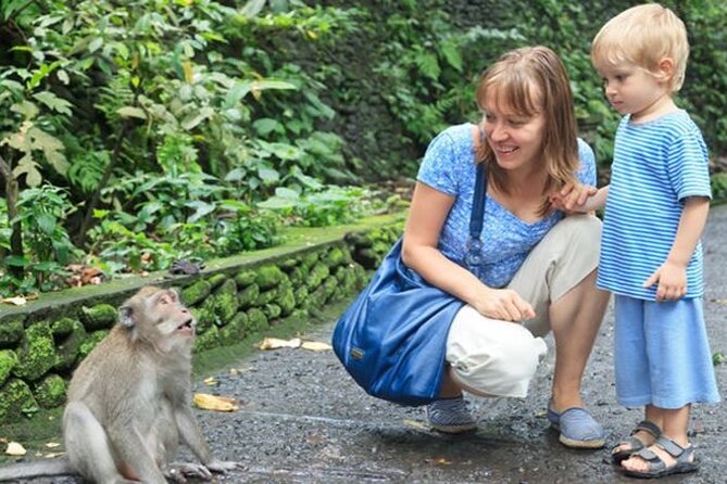 Half Day Private Tour in Ubud - Why this half-day Ubud tour works