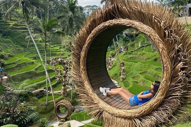 Half Day Private Tour in Ubud - Optional Ubud art village or coffee stop