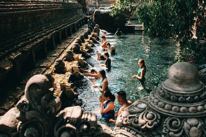 Half Day Private Tour in Ubud - The private-car advantage