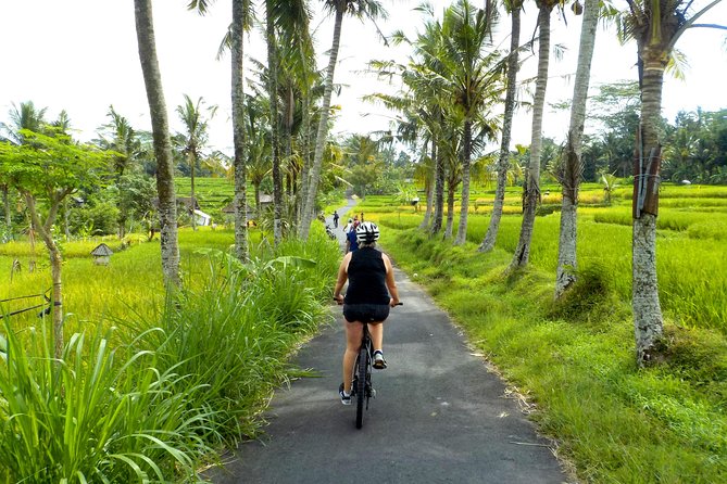 Half-Day Ubud Electric Cycling Tour to Tirta Empul Water Temple - Rice paddies, ducks, and village life