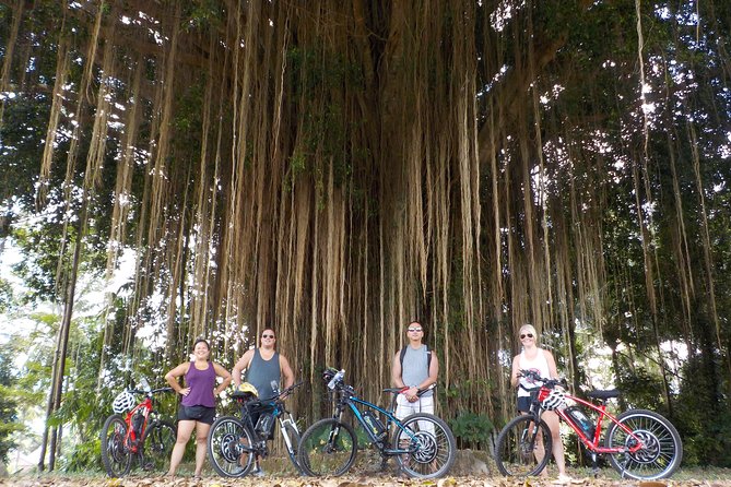 Half-Day Ubud Electric Cycling Tour to Tirta Empul Water Temple - Arriving at Tirta Empul Water Temple