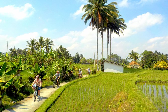 Half-Day Ubud Electric Cycling Tour to Tirta Empul Water Temple - Who will enjoy this morning most