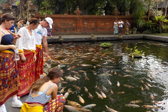 Half-Day Ubud Electric Cycling Tour to Tirta Empul Water Temple - From Banjar Laplapan into the rice fields