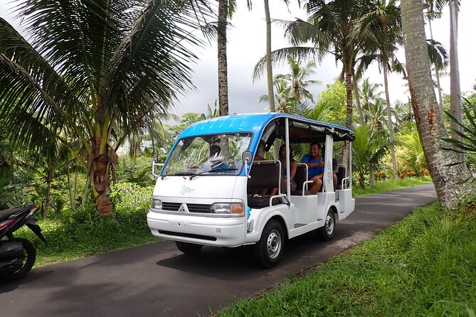 Half Day Ubud Waterfall Tour - The quick facts that matter most