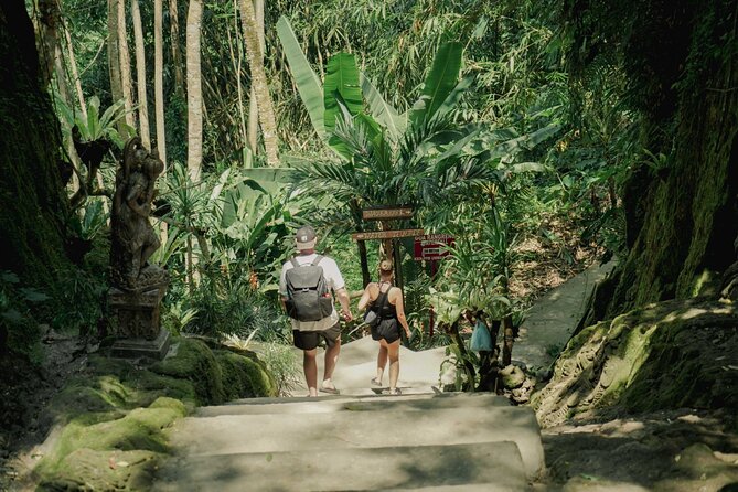 Half Day Ubud Waterfall Tour - Three waterfalls, three different moods