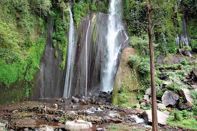 Haunted Valley Waterfall ATV and Bike Tour - Who will get the most from this tour
