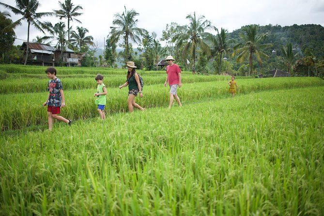 Haunted Valley Waterfall ATV and Bike Tour - Rice fields, villages, and the bike section