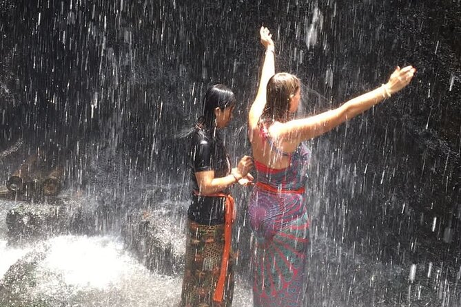 Healing and Purifications Tour in Bali - What is included for $152.04