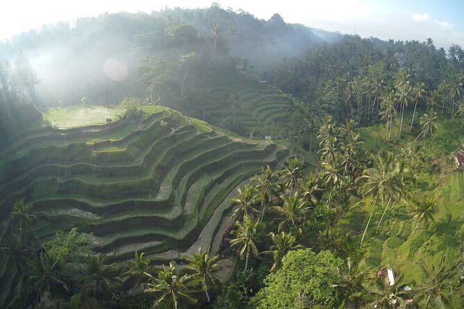 Hidden North Waterfall Bali All inclusive - Banyu Wana Amertha brings several cascades together