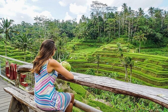 Hidden Ubud: Waterfalls & Sacred Temples - Tegallalang’s rice terraces and the cost of the view