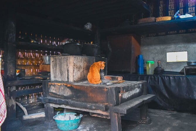 Highlight of Bali Tour - From Nusa Dua to Bali’s Working Villages