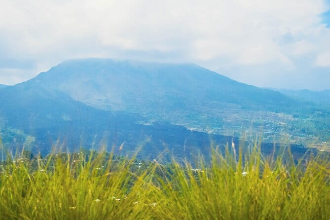 Highlight of Bali Tour - Afternoon Tea Above the Rice Fields