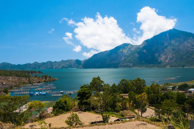 Highlights of Ubud & Mount Batur Volcano - Private Day Trip - Why This Private Ubud Day Works Well
