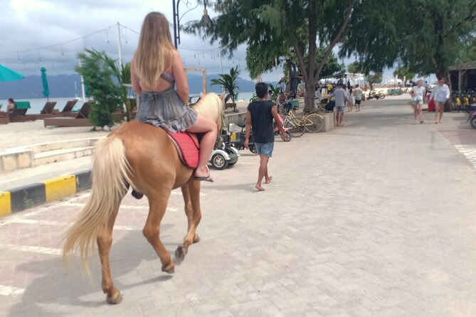 Horse Ride On The Beach Gili Islands - What happens from hotel pickup to the saddle