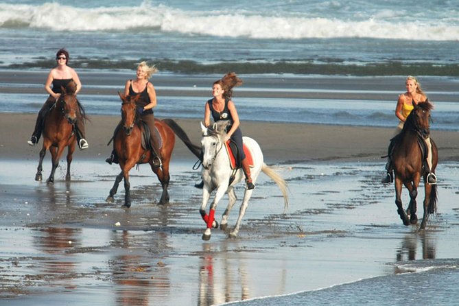 Horse Riding on the Black Sand Beach and Free Hotel Transfers - Riding onto Saba Beach’s black volcanic shore